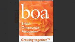 BOA